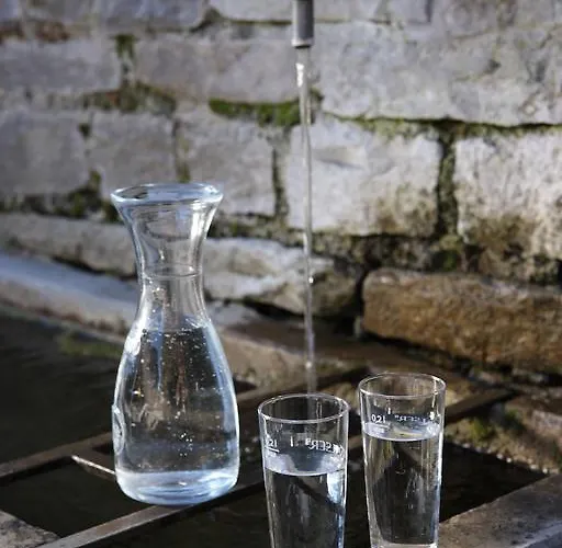 Casa de Férias Casa Da Luzi Surcasti